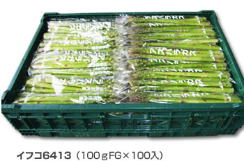 イフコ6413（100ｇFG×100入）
