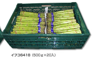 イフコ6418（500ｇ×20入）