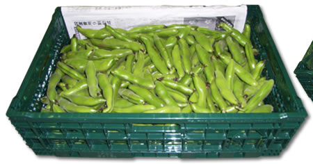 コンテナーの場合はバラ詰めで作業効率アップ