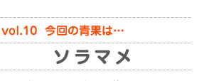 vol.10　今回の青果は…ソラマメ