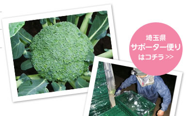 コンテナーを組み立てて箱詰め準備