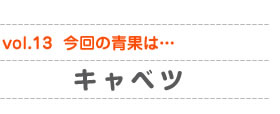 vol.13　今回の青果は…キャベツ