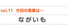 vol.11　今回の青果は…ながいも