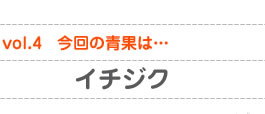 vol.4　今回の青果は…イチジク