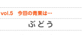 vol.5　今回の青果は…ぶどう
