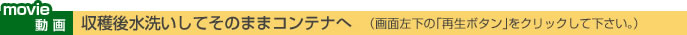 movie動画/収穫後水洗いしてそのままコンテナへ（画面左下の「再生ボタン」をクリックして下さい。）