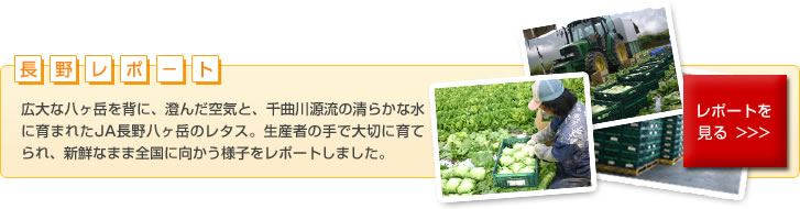長野レポート