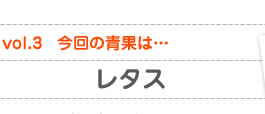 vol.3　今回の青果は…レタス