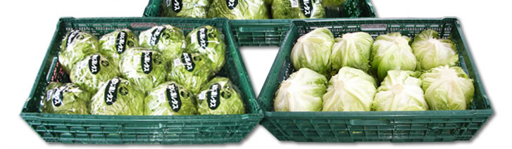 イフコ6415／ラップ9玉・11玉、裸8玉入