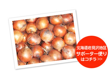 全国の小売に並ぶ北海道産のタマネギ