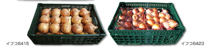 イフコ6415／イフコ6423