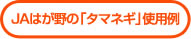 ＪＡはが野の「タマネギ」使用例