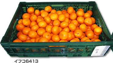 イフコ6413／バラ10kg