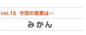 vol.15　今回の青果は…みかん