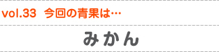 vol.33　今回の青果は…みかん