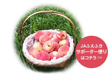 木からもぎ取ったモモは竹篭に入れる