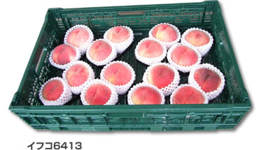 イフコ6413／紙トレイ使用