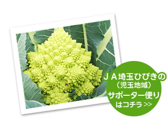 ＪＡ埼玉ひびきの