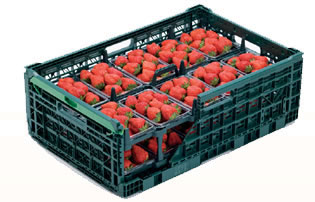 イフコ・コンテナーイメージフォト