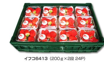 イフコ6413（200ｇ×2段 24P）