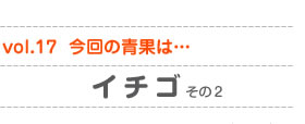 vol.17　今回の青果は…イチゴその2