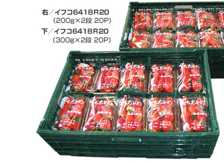 イチゴ その3｜活用事例｜イフコ・ジャパン株式会社