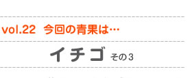 vol.22　今回の青果は…イチゴその3