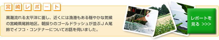 宮崎レポート