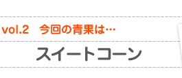 Vol.2 今回の青果は…スイートコーン