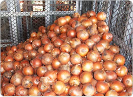 低温で保管し長期に渡って出荷される