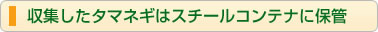 収集したタマネギはスチールコンテナに保管