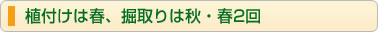 植付けは春、掘取りは秋・春2回