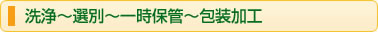 洗浄〜選別〜一時保管〜包装加工
