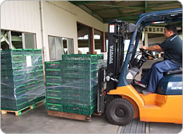 出荷を待つコンテナー