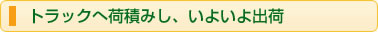 トラックへ荷積みし、いよいよ出荷