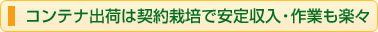 コンテナ出荷は契約栽培で安定収入・作業も楽々
