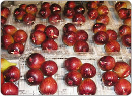 サイズを揃えてパック詰めされたイチジク