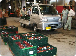 コンテナーを集荷場へ運ぶ