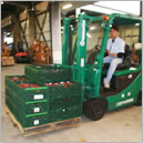 フォークリフトで運ばれるコンテナー