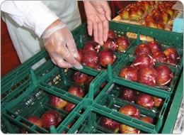 パックごとラックに入れる