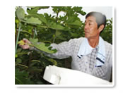 お話しを伺ったイチジク生産者