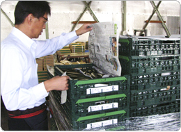 基幹集荷場で行う全品検査