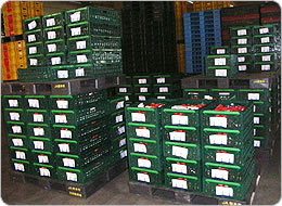 トラックへの荷積みを待つコンテナー