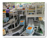 自動化された集荷場はクリーンで効率的