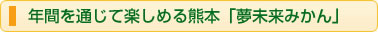 年間を通じて楽しめる熊本「夢未来みかん」