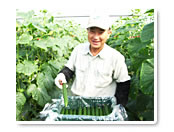 キュウリ生産者の日高さん