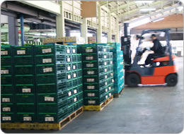 パレットに積んでも安定性抜群