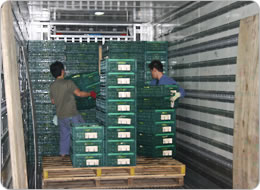 スライドスタックで荷崩れを防ぐ