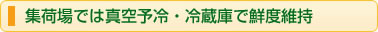 集荷場では真空予冷・冷蔵庫で鮮度維持