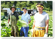 ハクサイ農家の由井さん一家